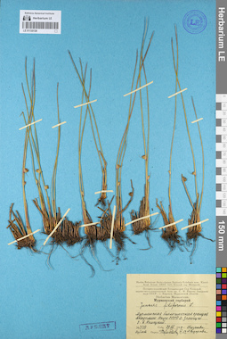 LE 01135128