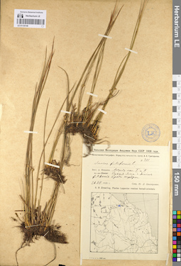 LE 01135149
