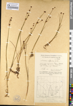LE 01135189