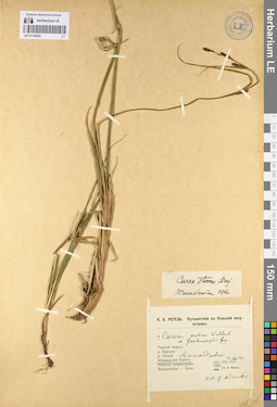 LE 01134432