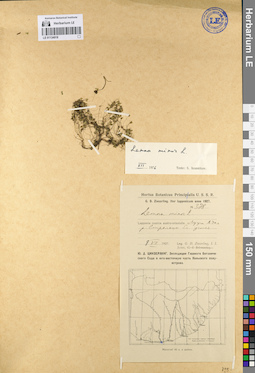 LE 01134918