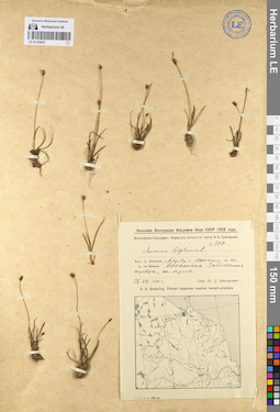 LE 01135027