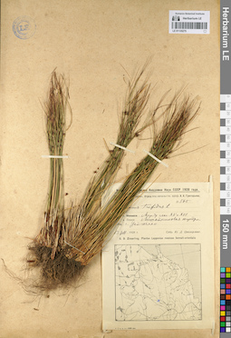 LE 01135275