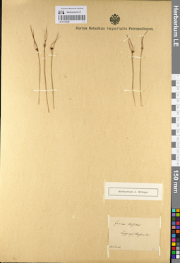 LE 01135349