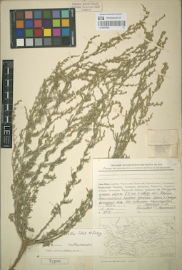 LE 00052868