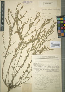 LE 00052870