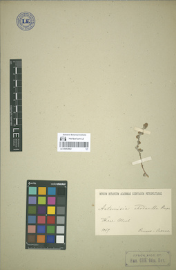 LE 00052862