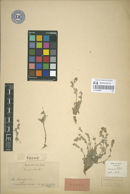 LE 00052863