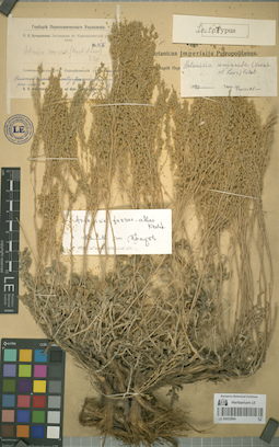 LE 00052864