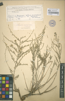 LE 00052874