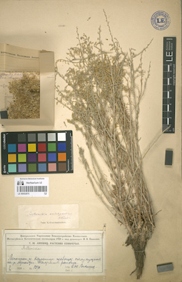 LE 00052875
