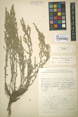 LE 00052871