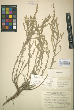 LE 00052872