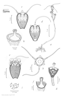 LE 01122640