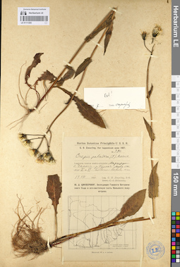 LE 01111293