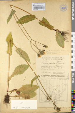 LE 01111302