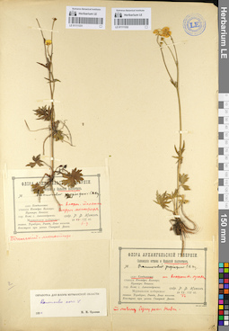 LE 01111332