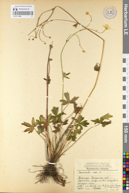 LE 01111409