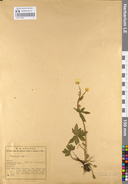 LE 01111456