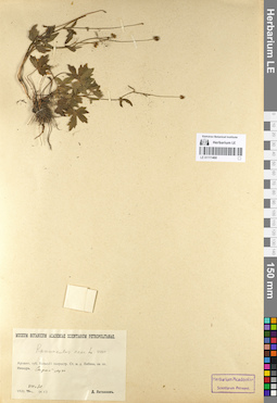 LE 01111460