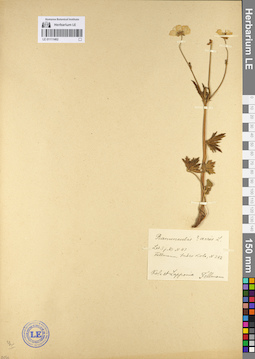 LE 01111462