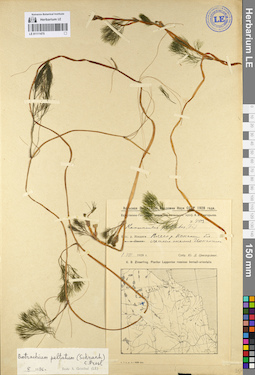 LE 01111475