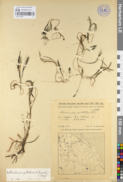 LE 01111476