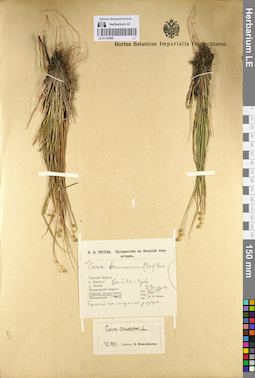 LE 01132980