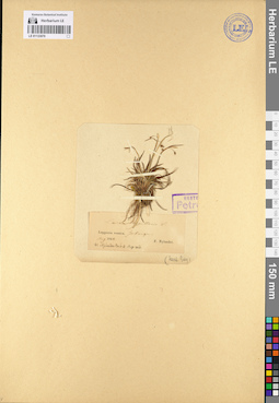 LE 01133070