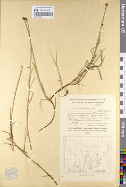 LE 01133189