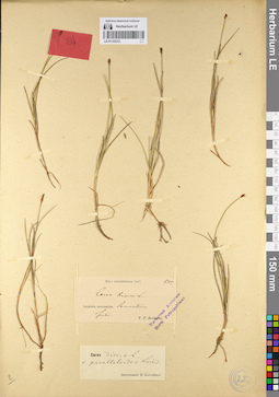 LE 01133272
