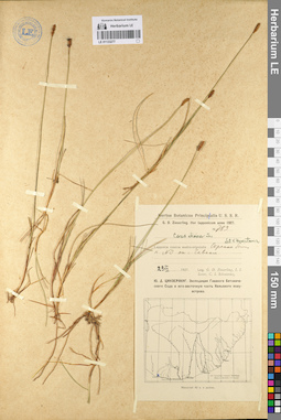 LE 01133277