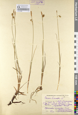 LE 01133380