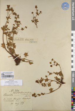 LE 01071722