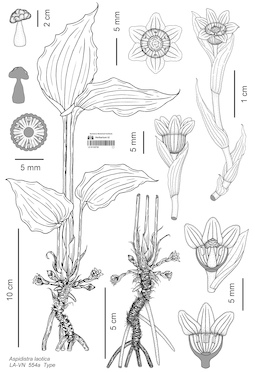 LE 01122730