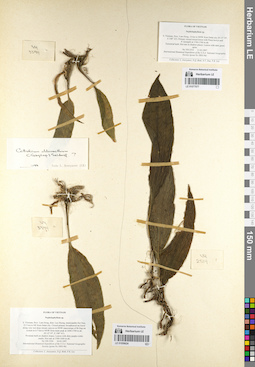LE 01077077