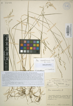 LE 01012755