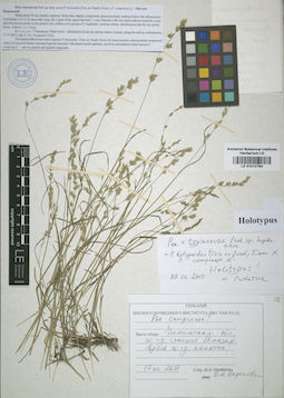 LE 01012764