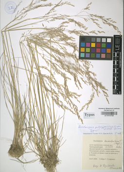 LE 01012725