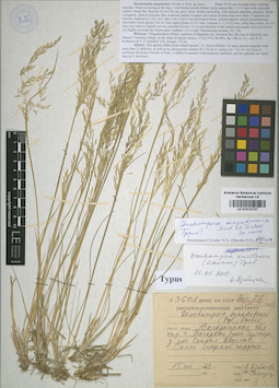 LE 01012727