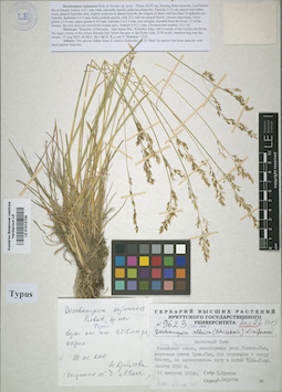 LE 01012729