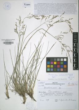 LE 01012730