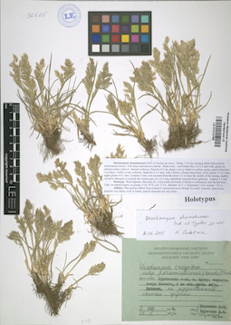 LE 01012769