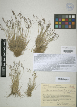 LE 01012763