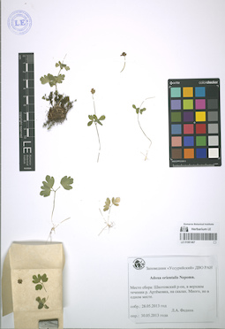 LE 01081467