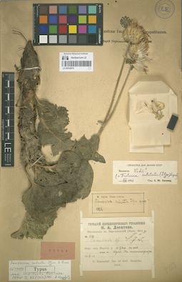 LE 00052876