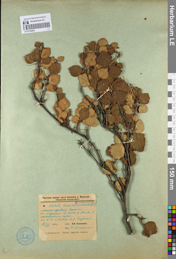LE 01142924