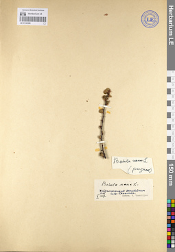 LE 01143386