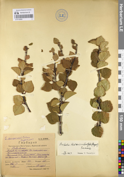 LE 01143639