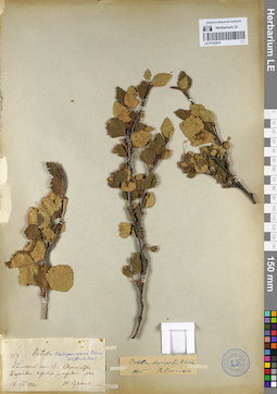 LE 01143679